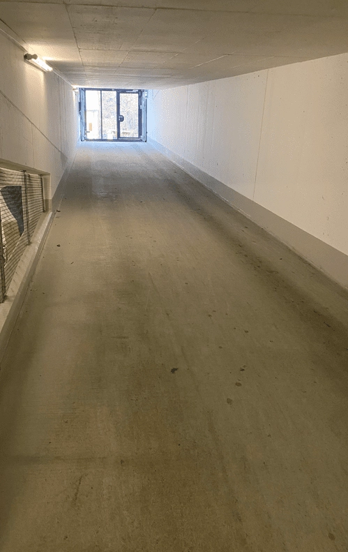 Professionelle Sanierungsarbeiten